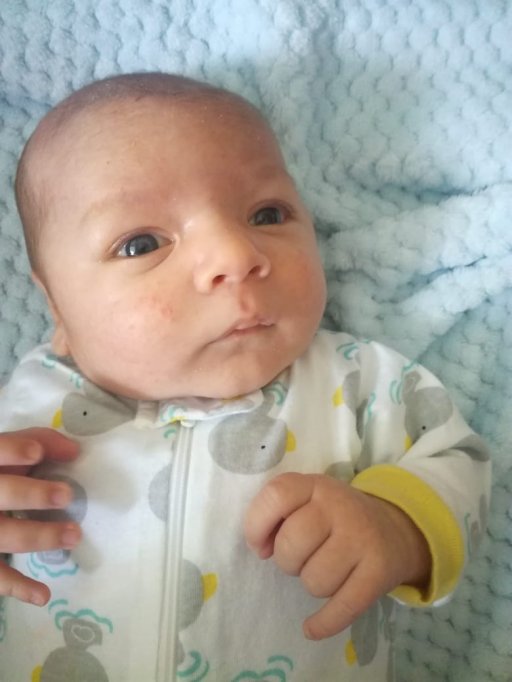 ريان الصياغ