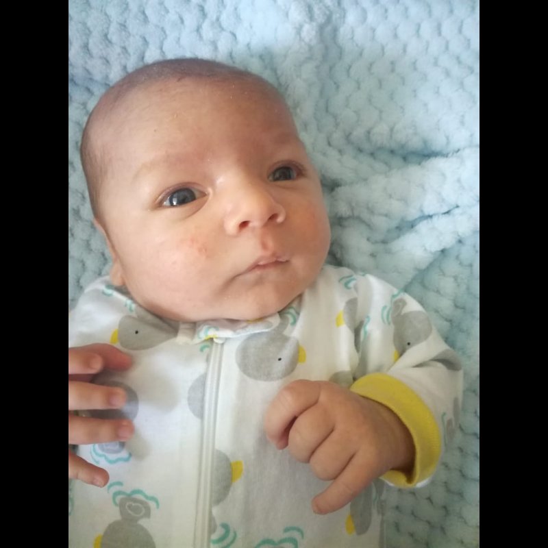 ريان الصياغ